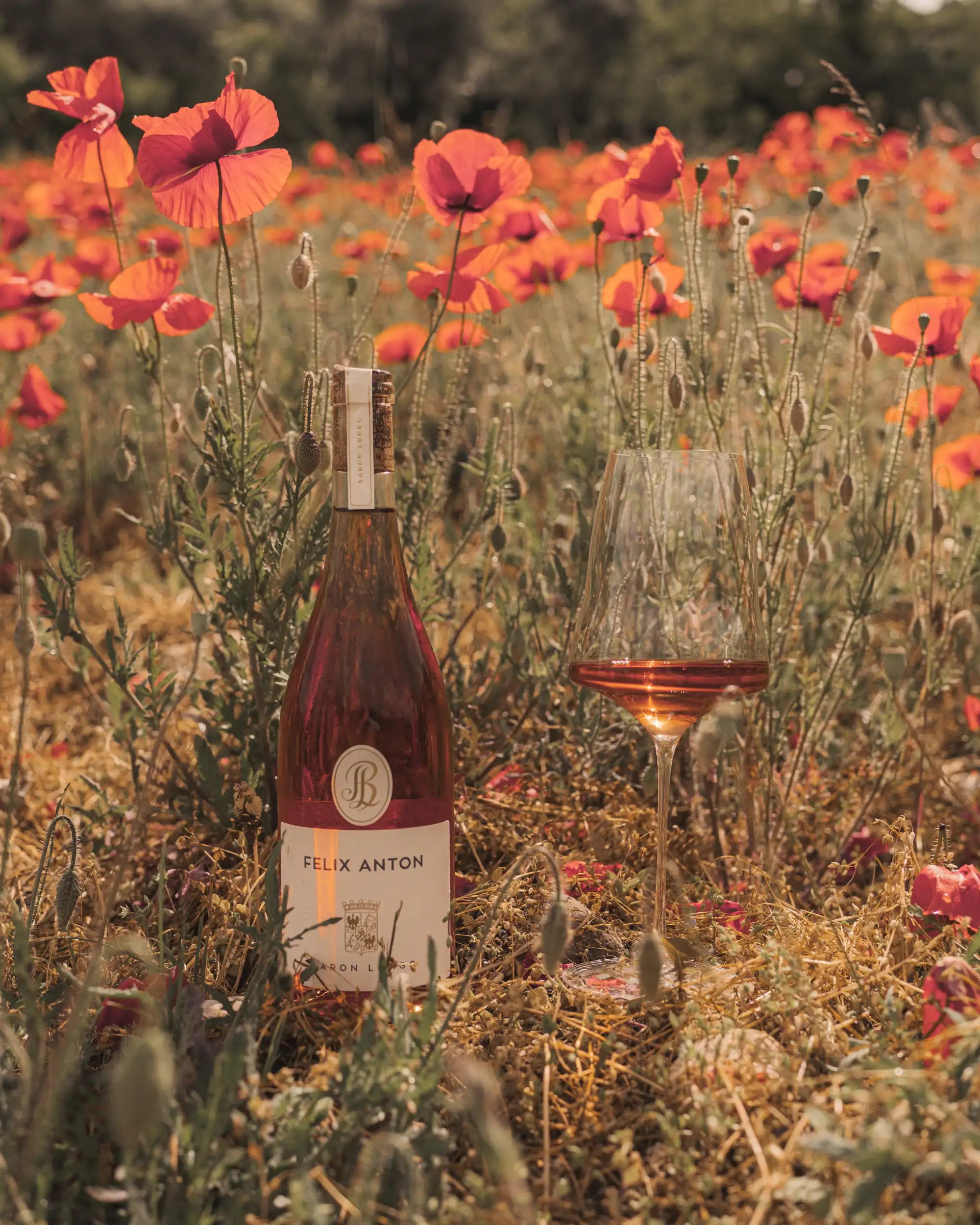 Baron Longo Felix Anton Rosato with Josephine N° 2 Universal Glass in a poppy field